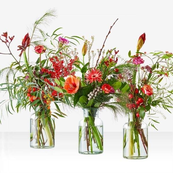 Christmas bouquet "Christmas surprise" (Small)