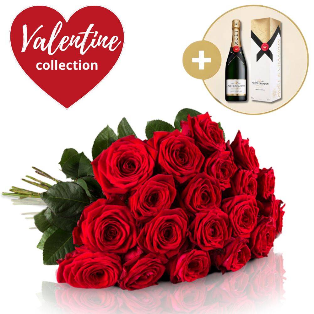 Valentine's Day Roses & Champagne - Moét Chandon Brut (12 roses)