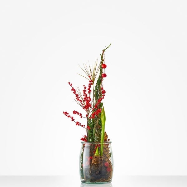 Floral Christmas arrangement "Merry Christmas" (Small)