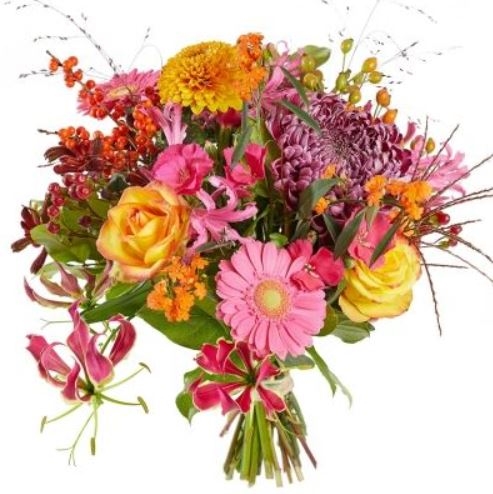 Warm pink Flowers (Small)