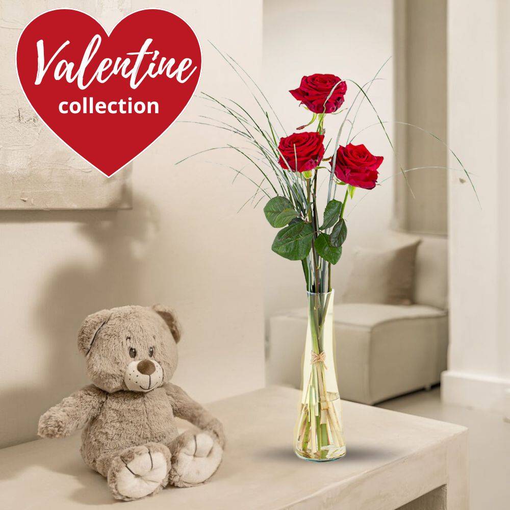 Valentine’s Day Teddy Bear with 3 Red Roses