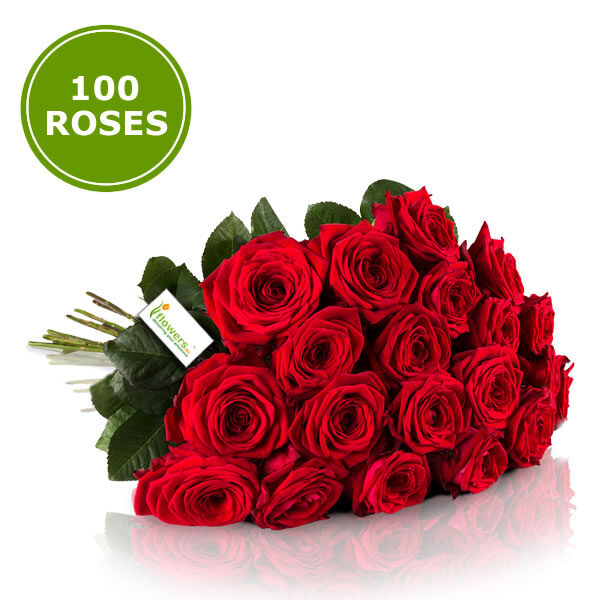 Bouquet 100 Large Red Roses.