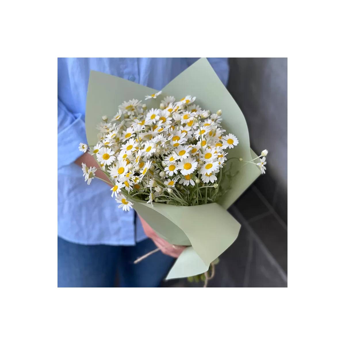 Field Daisies