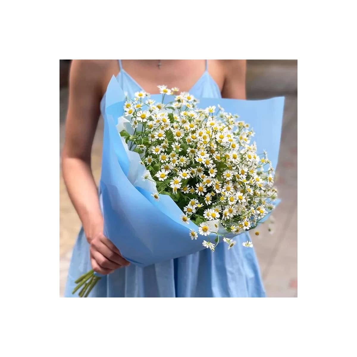Bouquet of Daisies
