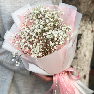 Gypsophila Bouquet
