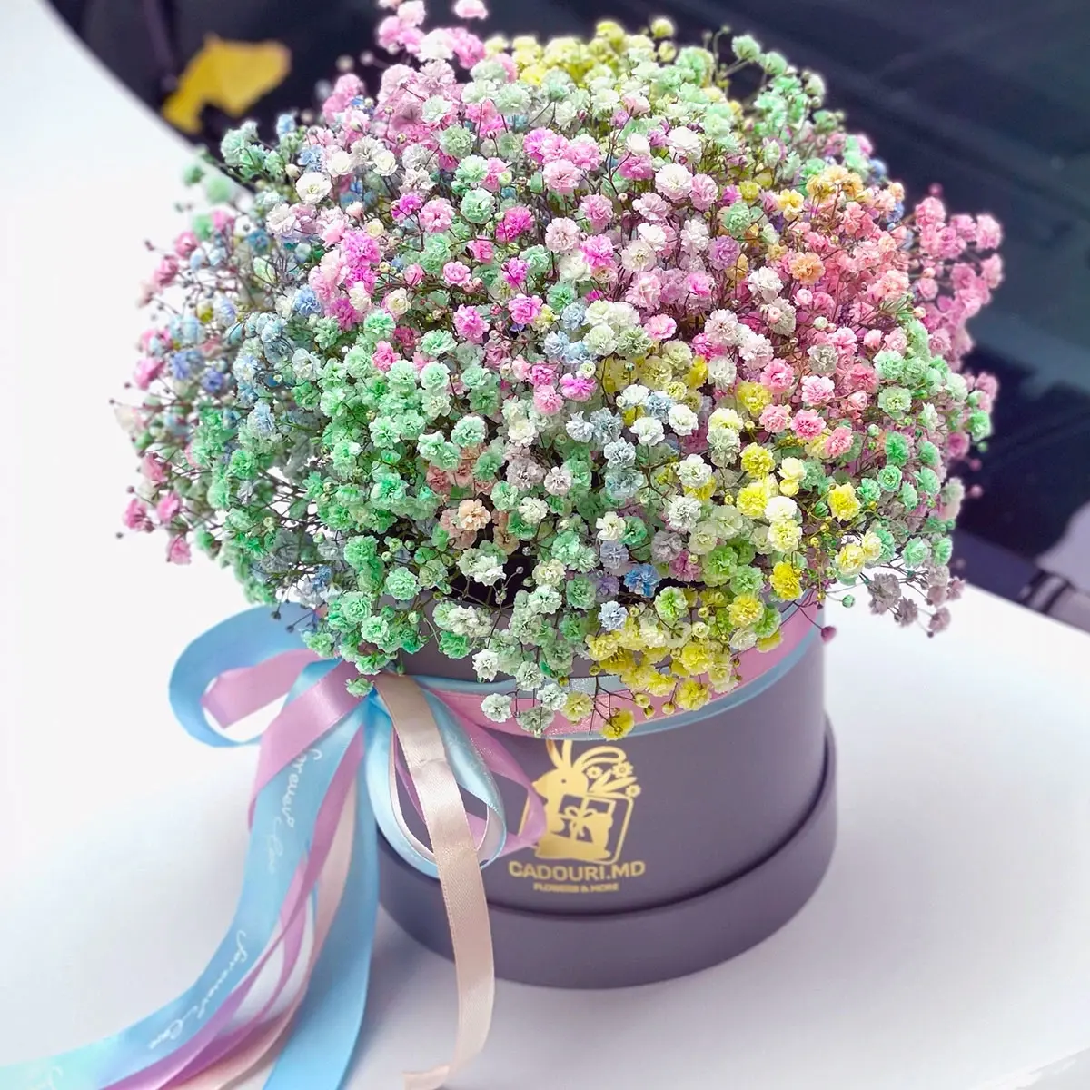 Box of Multicolored Gypsophila