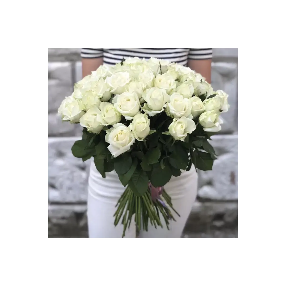 51 White Roses 50-60 cm