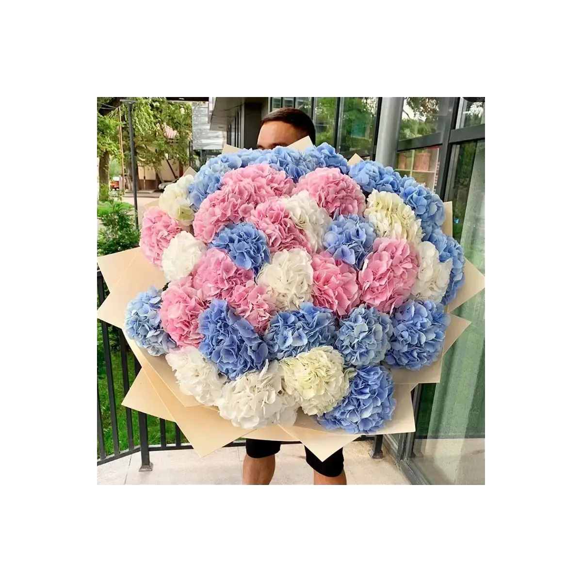 Bouquet of Colorful Hydrangeas