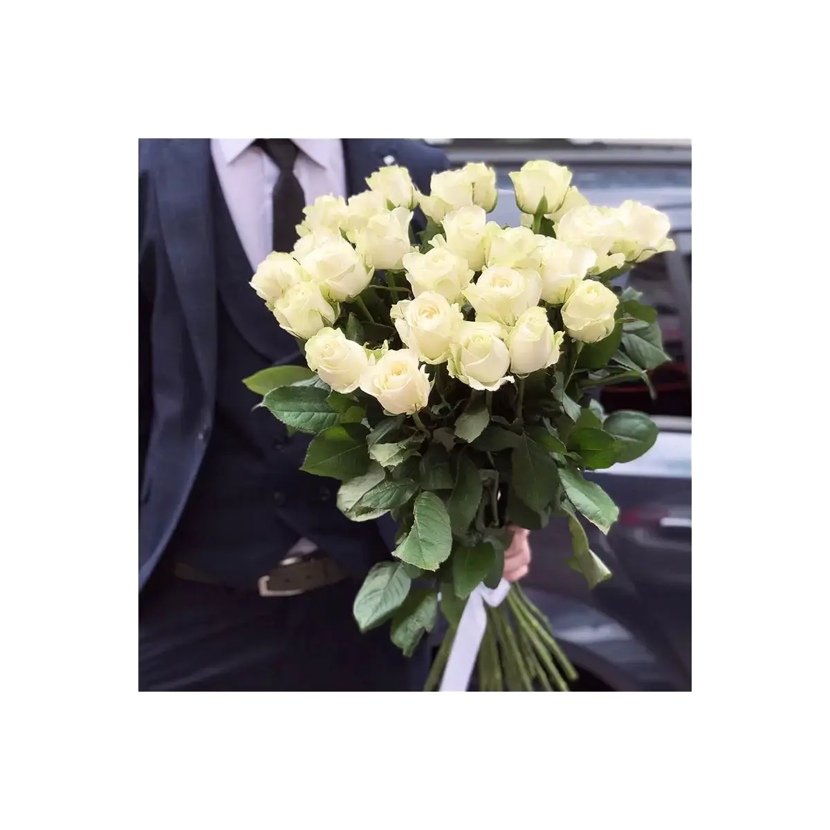 25 White Roses 60-70 cm
