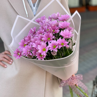 Pink Chrysanthemums