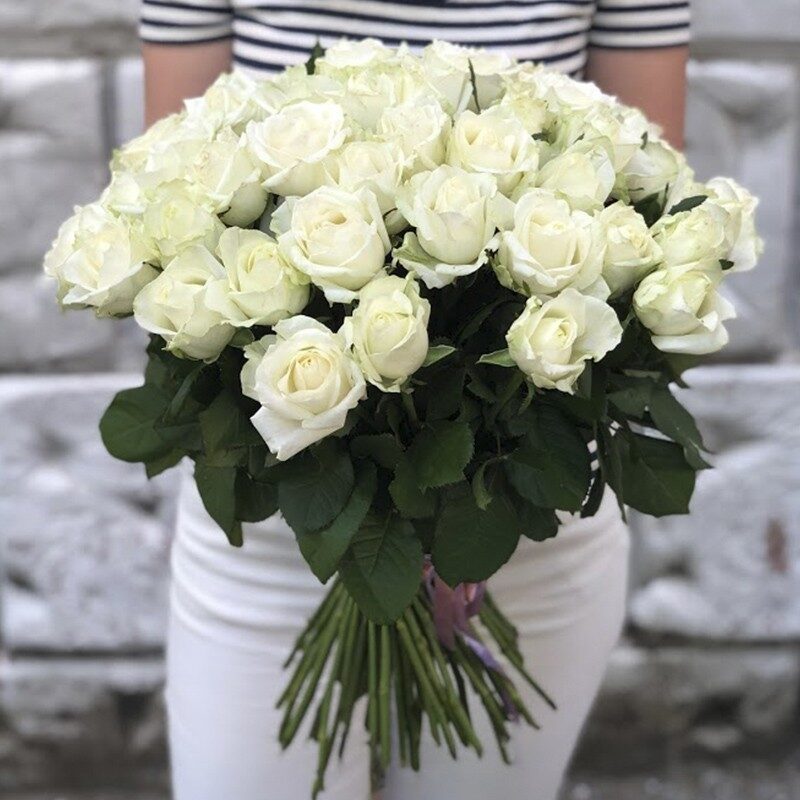 51 White Roses 50-60 cm