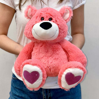 Teddy Bear Andrew Pink