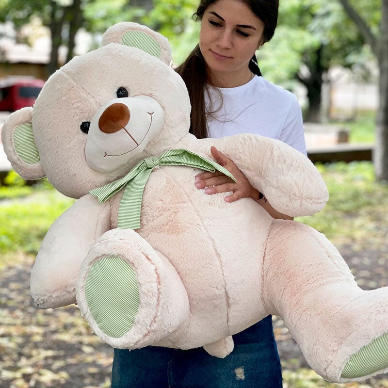 Intelligent Teddy Bear