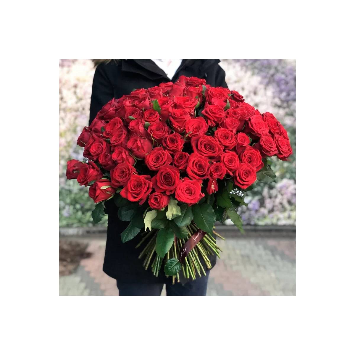 101 Red Roses 60-70 cm