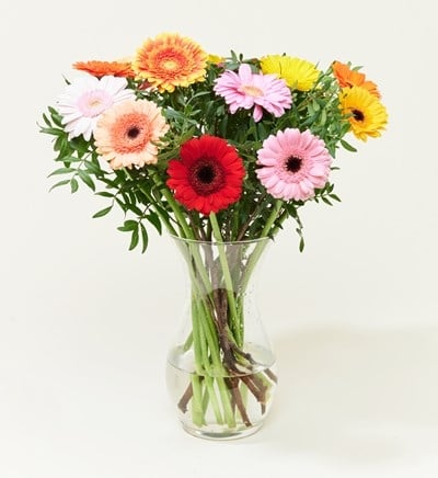 Bouquet Flowers Spring Rainbow