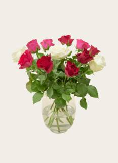 Letterbox Flowers Pink Red Mix
