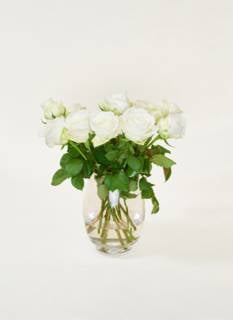 Letterbox Flowers White Roses