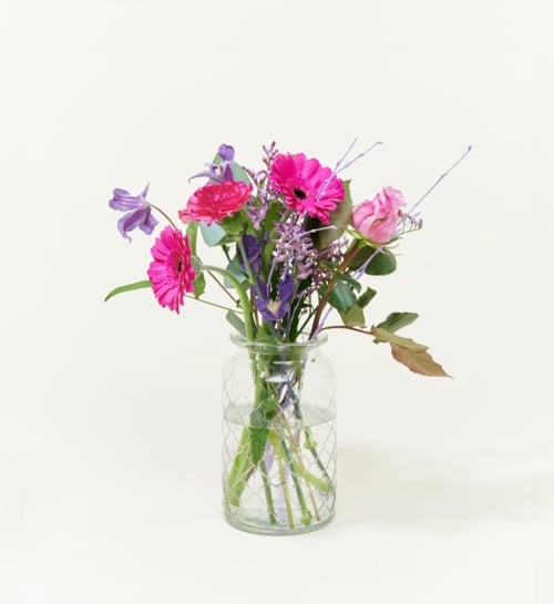 Letterbox flowers Sweet Purple
