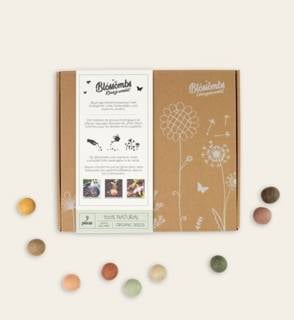 Blossombs Flower Seeds Gift Set