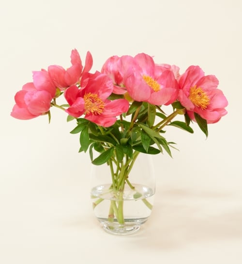Letterbox Flowers Peonies Pink