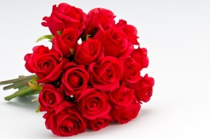 18 Red Roses