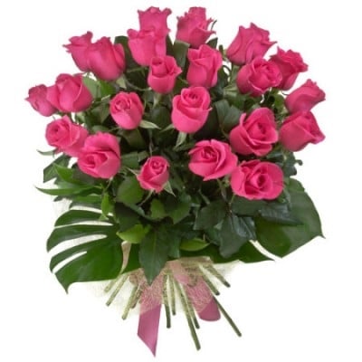 24 Pink Roses