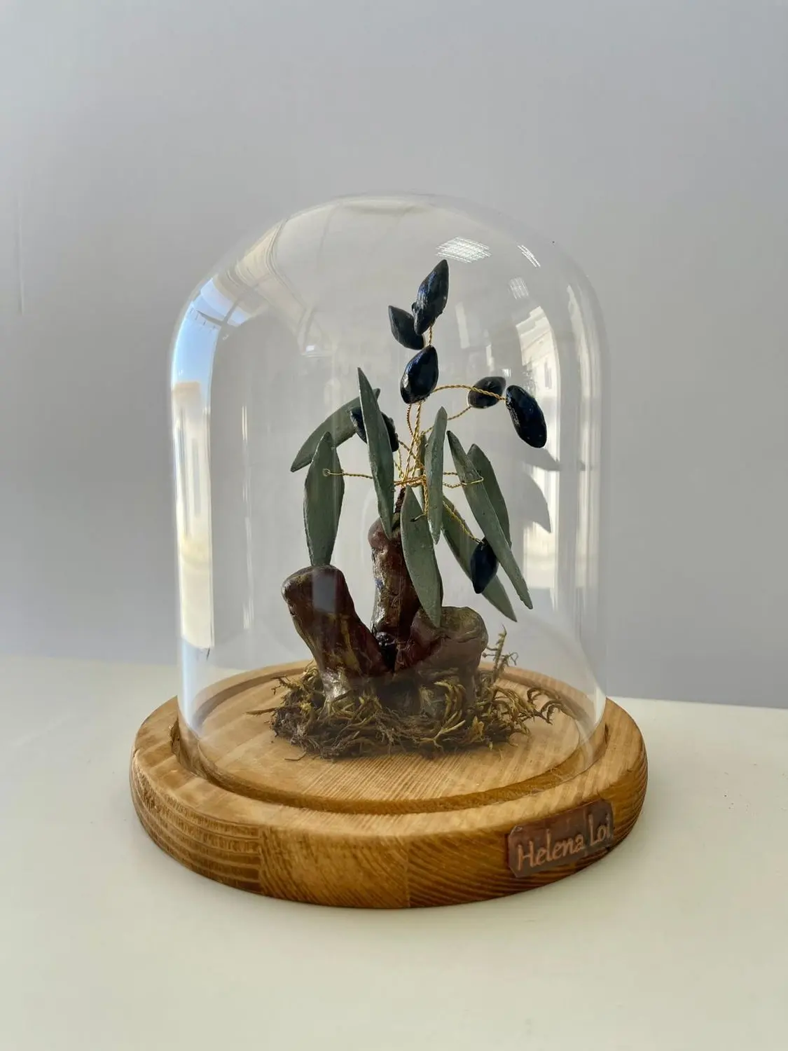 Olive of Serenity | Helena Loi
