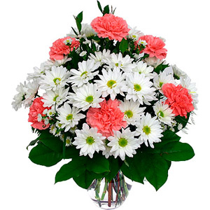Daisies & Carnations