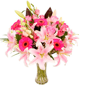 Pink Gift Wrap.