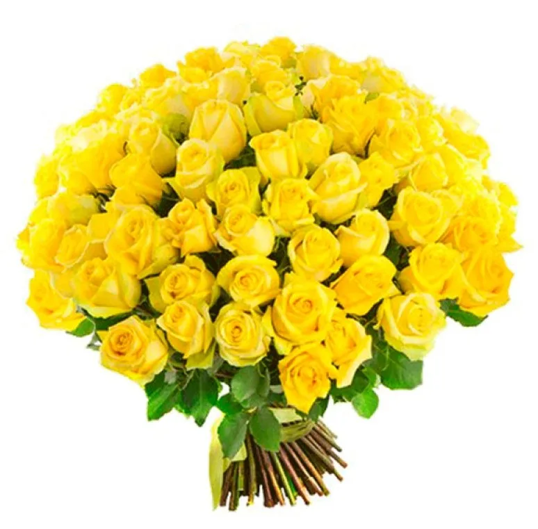 Bouquet of 101 yellow roses