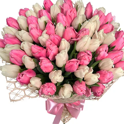Bouquet 51 white and pink tulips