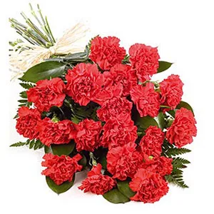 A bouquet red of carnations