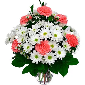 Daisies & Carnations