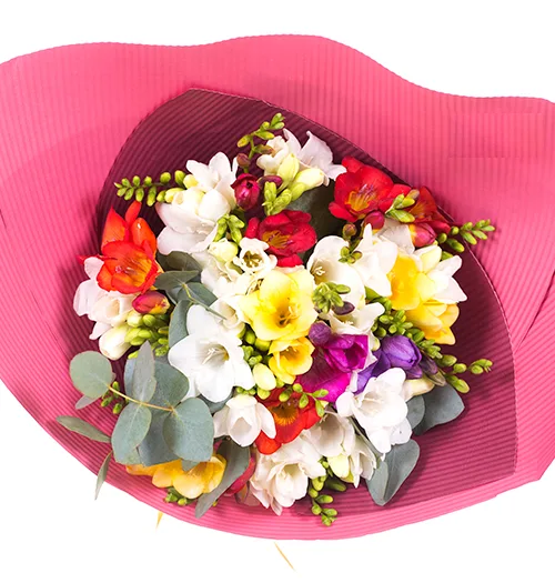 Bouquet of freesia #1