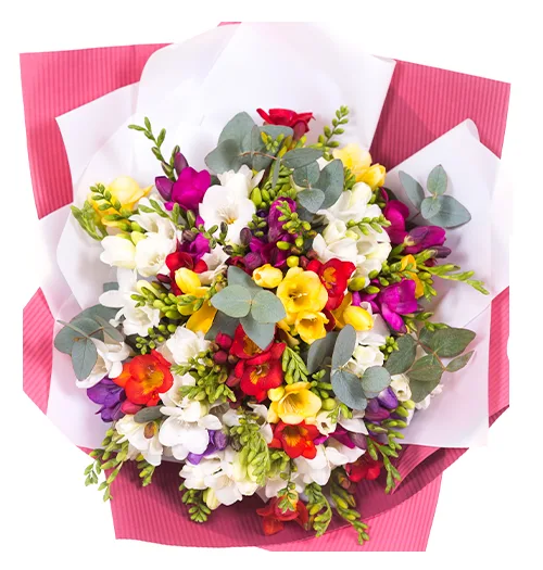 Bouquet of freesia #2