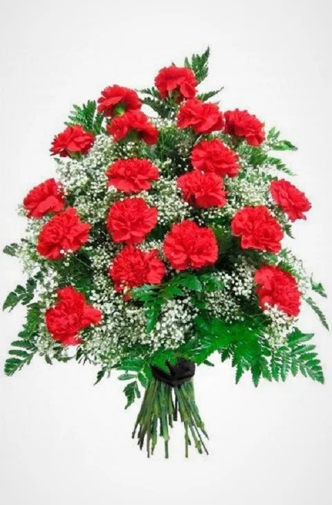 Funeral Bouquet​​. Red Carnation #8