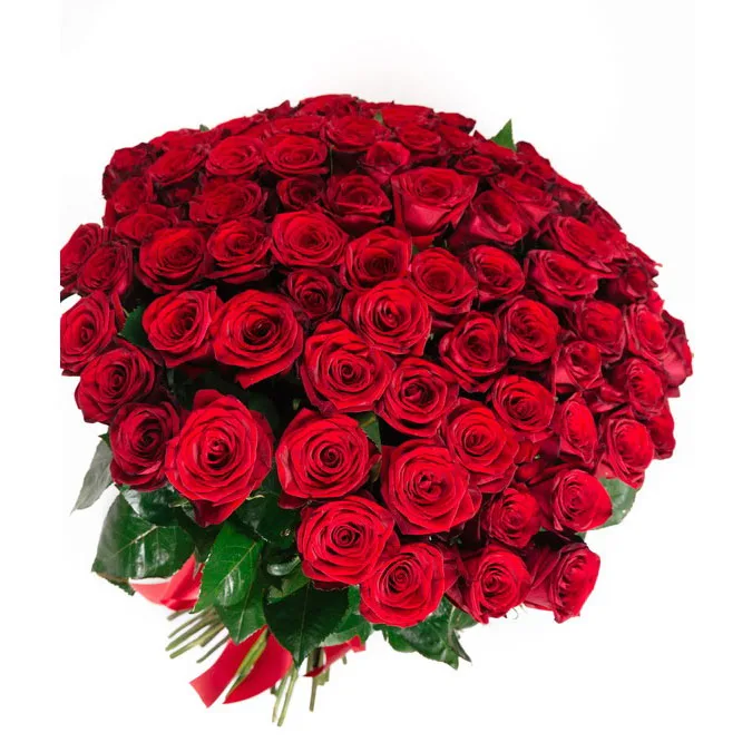 101 red roses bunch