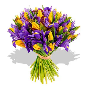 Iris & Yellow Tulip Bouquet