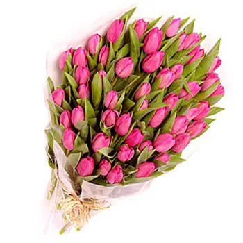 Two Dozen Pink Tulips in a Bouquet