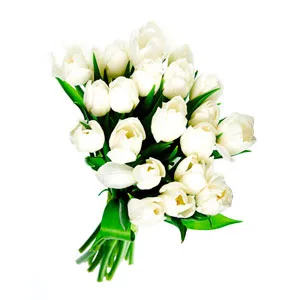 White tulip bouquet