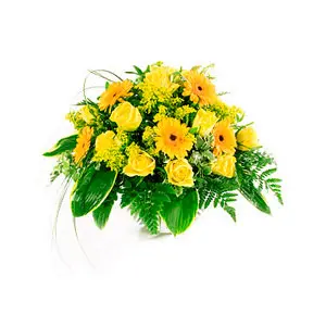 Gerbera Daisies & Chrysanthemums