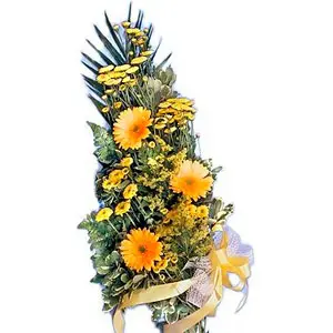 Wrapped Bouquet of Yellow Gerberas