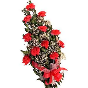Wrapped Bouquet of Red Carnations