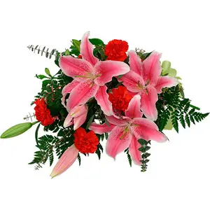 Pink & Red Delight