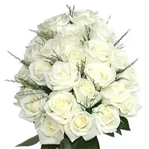 Two dozen white roses