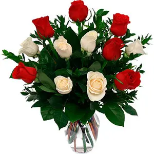 Red and White Roses