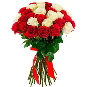Bouquet of 31 red and white roses