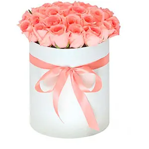 Pink Roses in a Round White Box