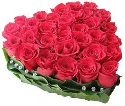 Heart of pink roses