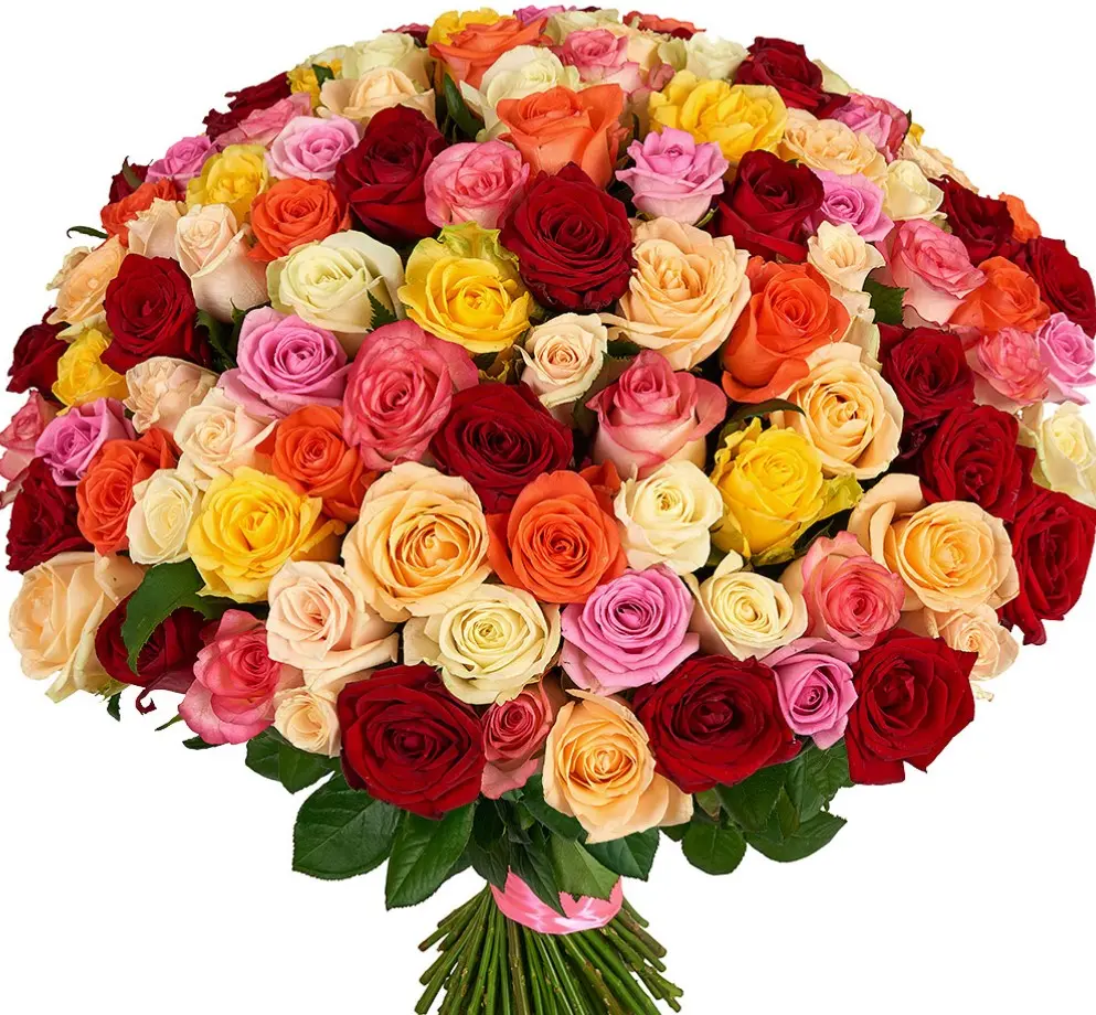 Bouquet of 101 multicolor roses
